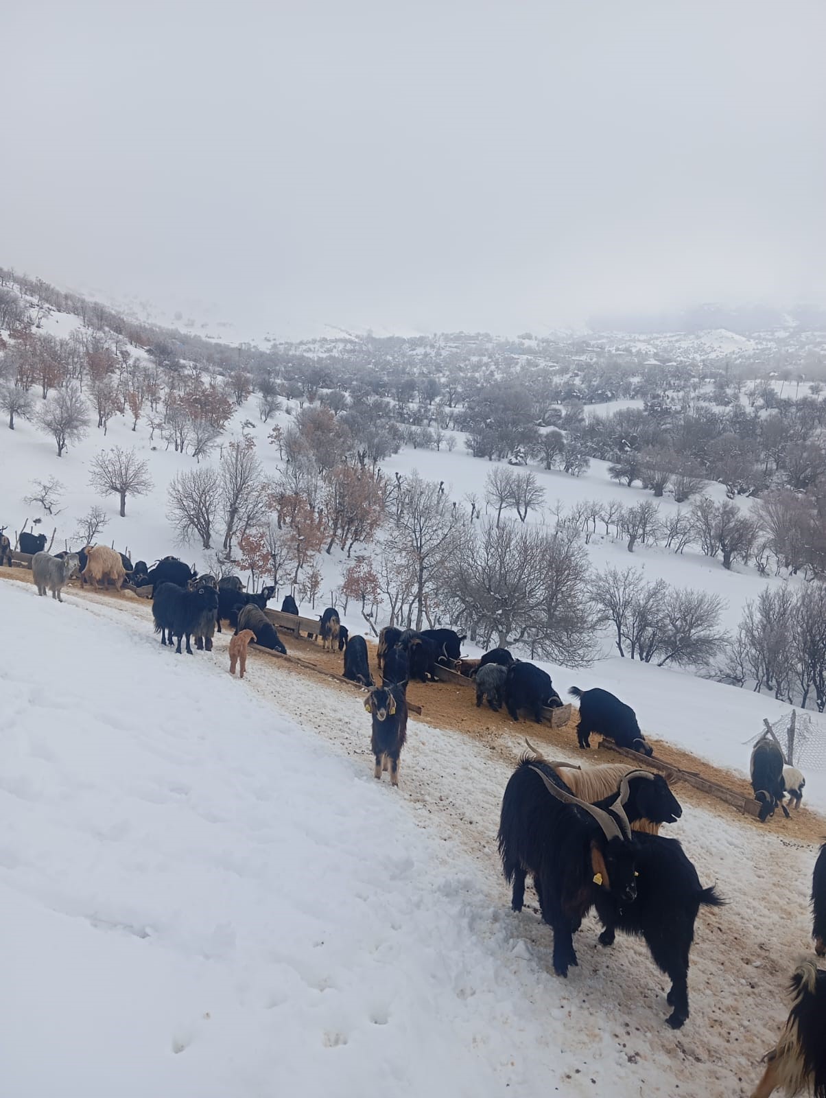 20 Yildir Ilk Kez Basima Geldi 72 Saatlik Arama Calismasi Mutlu Sonla Bitti (3)