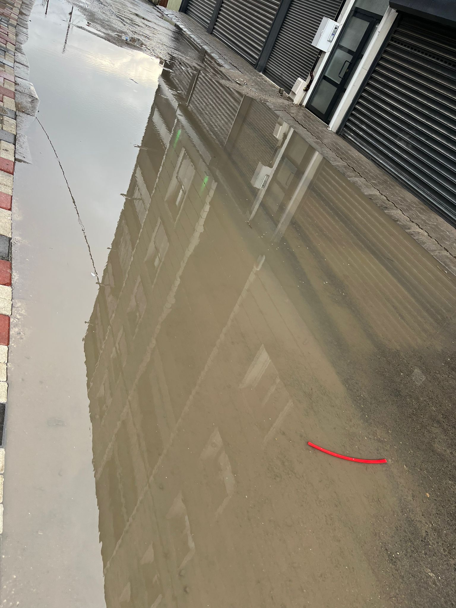 36D67217 E9De 4Fee B876 27E5F988Fd5F