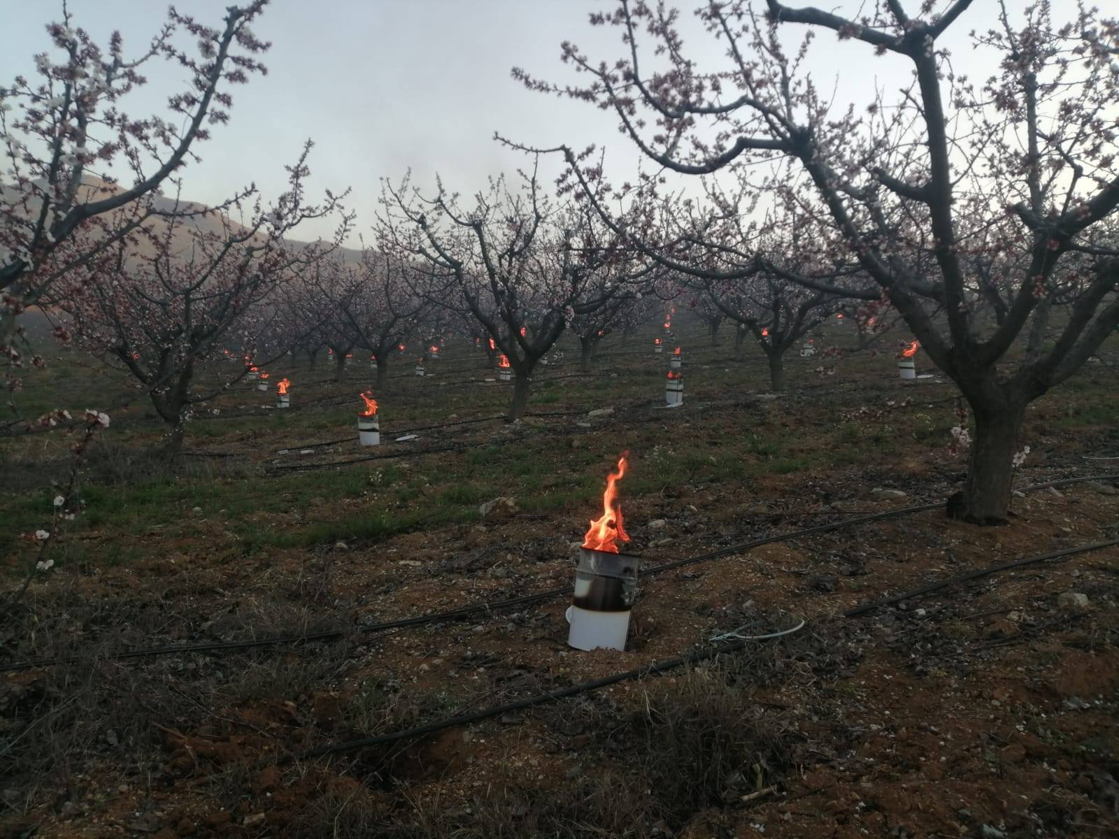 606012386 1310250601119825 4813991802660400552 N