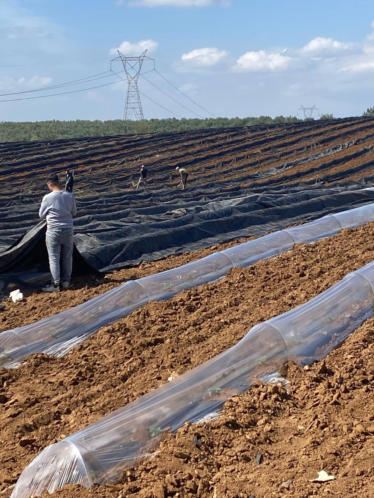 606032637 1310256294452589 547565483605902587 N