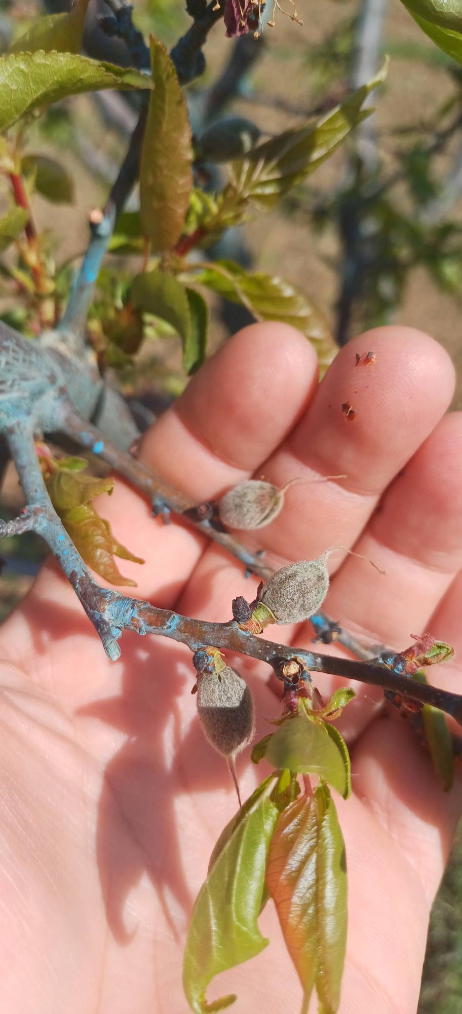 607143622 1310256517785900 7935912404841493934 N