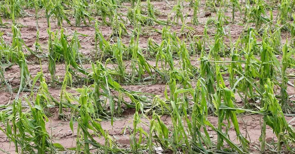 608014368 1310250461119839 9214023162234426863 N