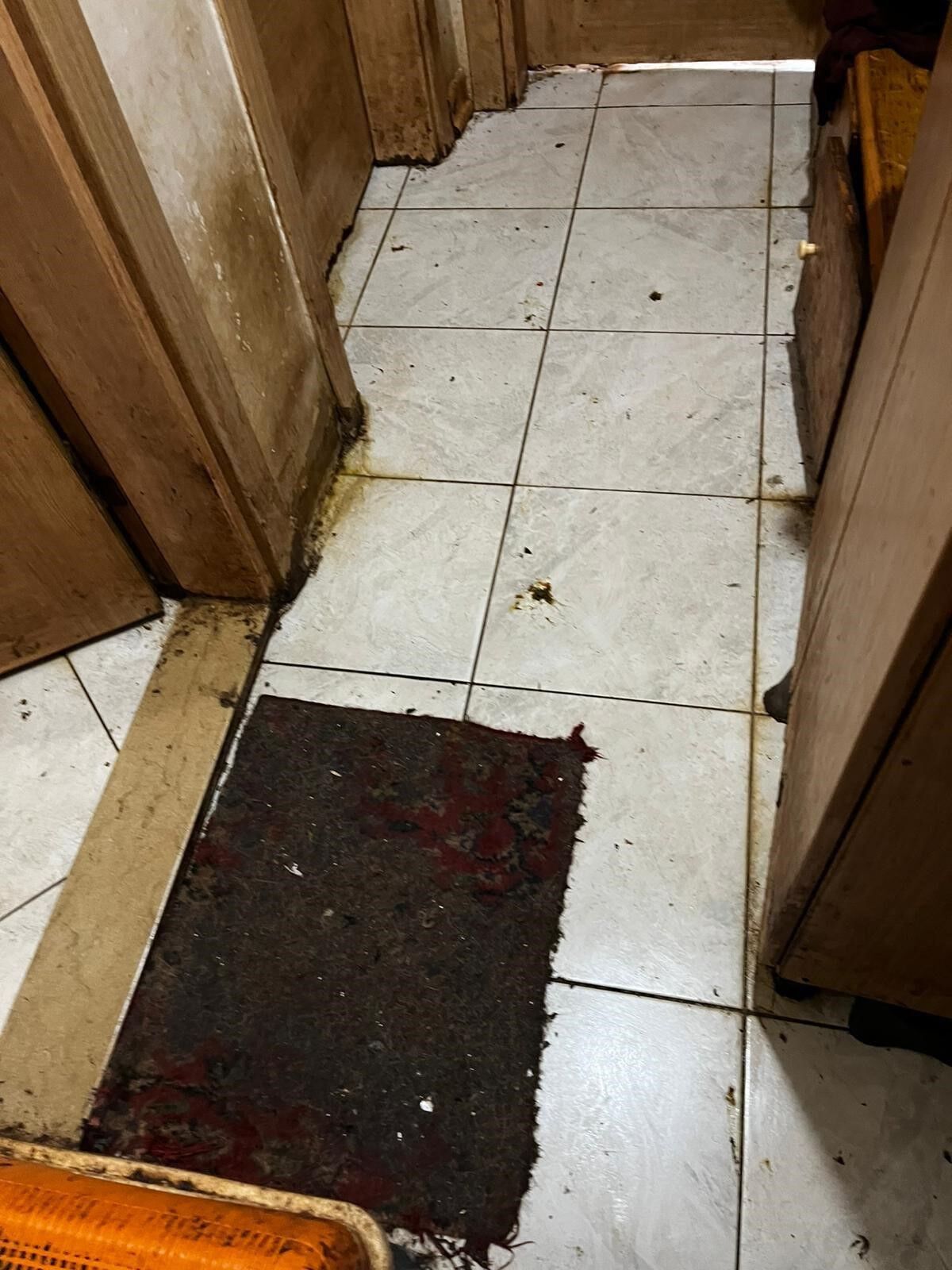 Açlık Ve Bakımsızlık Içinde Yaşam Mücadelesi 38 Köpek, 17 Kedi Kurtarıldı (3)