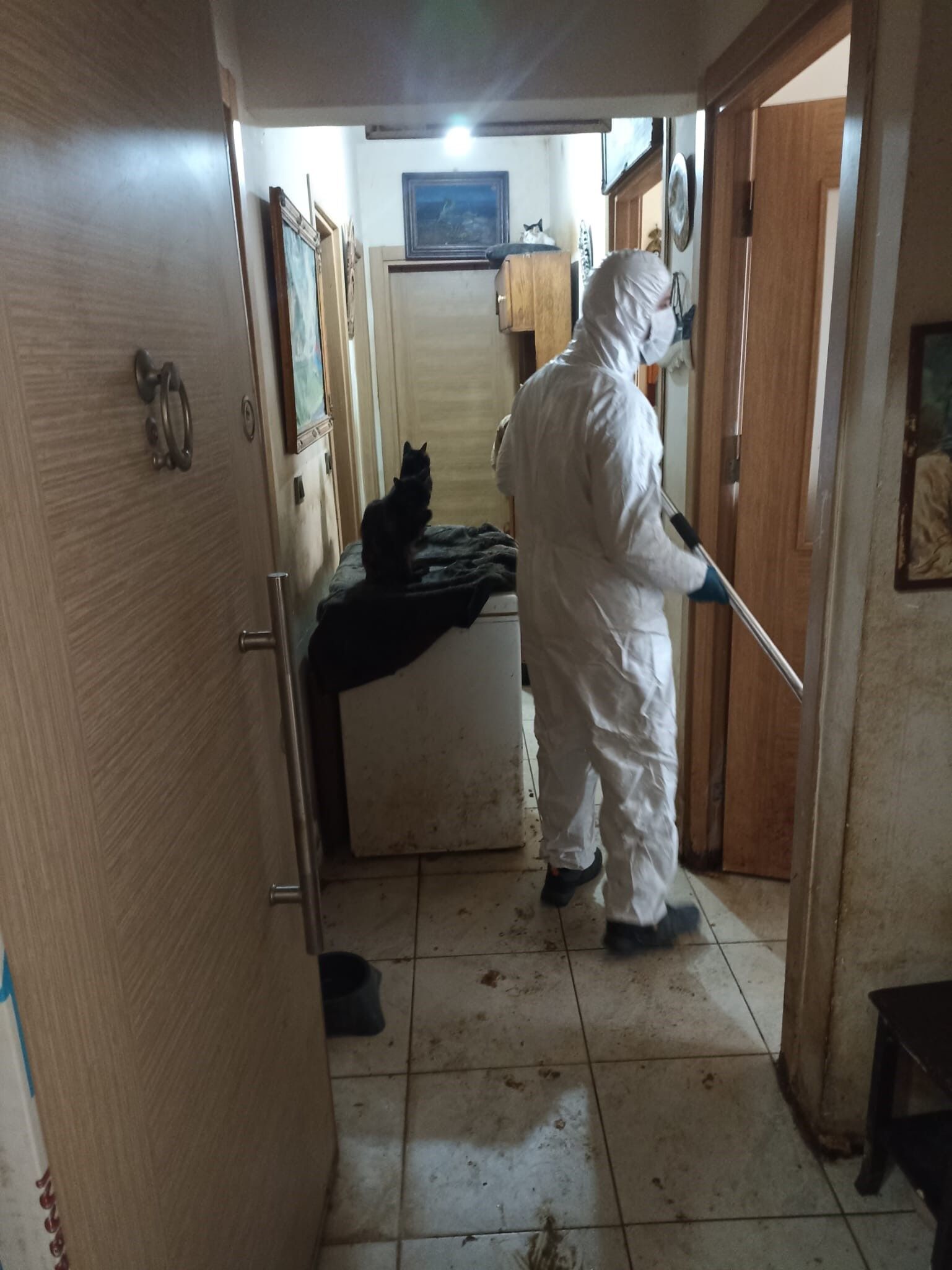 Açlık Ve Bakımsızlık Içinde Yaşam Mücadelesi 38 Köpek, 17 Kedi Kurtarıldı (5)