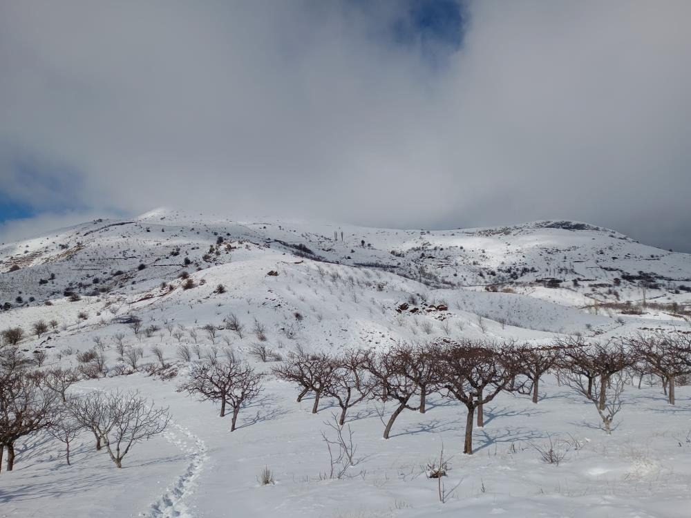 Alasehirli Cocuklar Karla Cumhuriyet Meydaninda Bulusacak (2)
