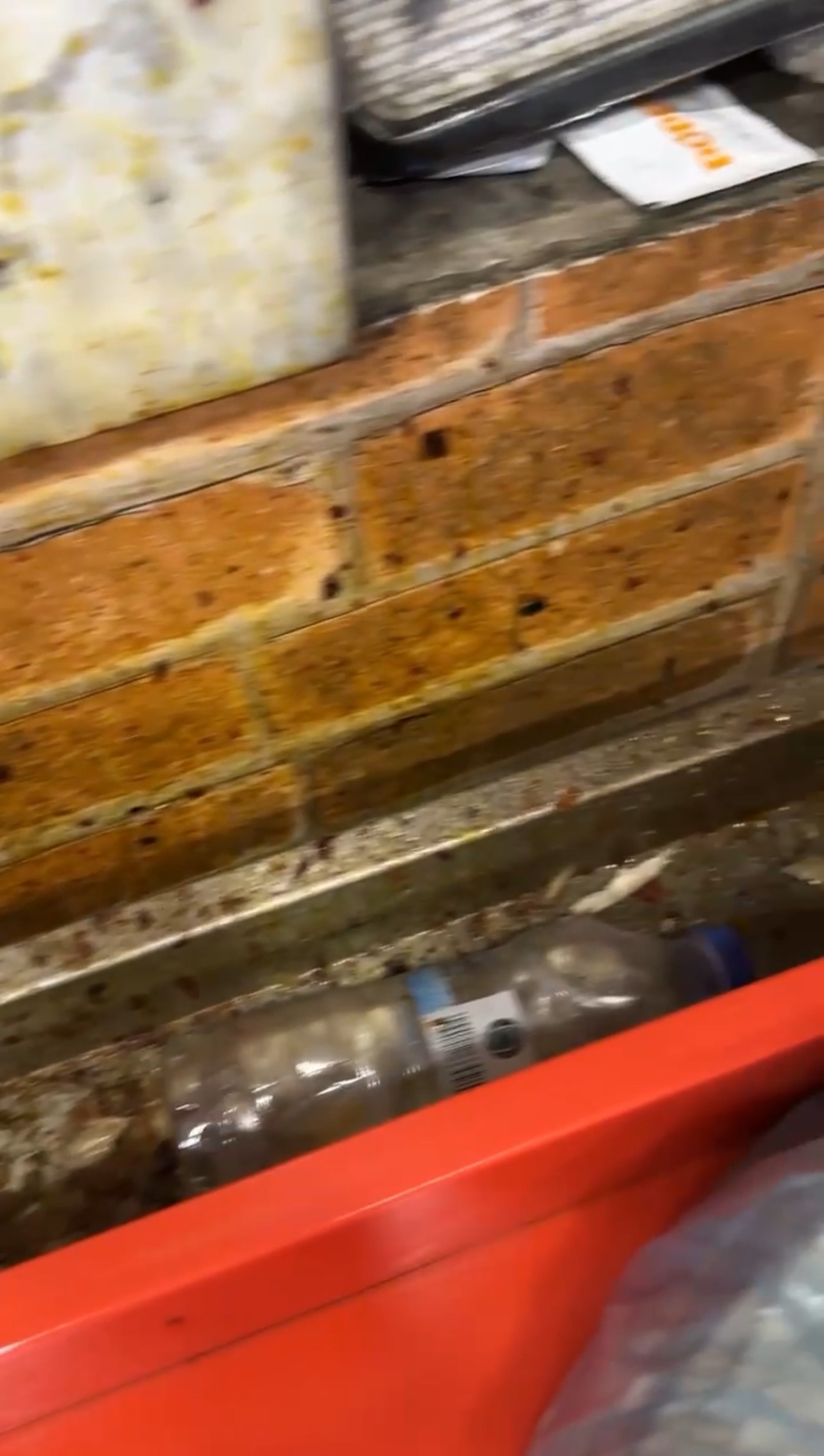 Avm Restoranlarında Mide Bulandıran Manzara Böcek Yuvaları Kamerada (3)