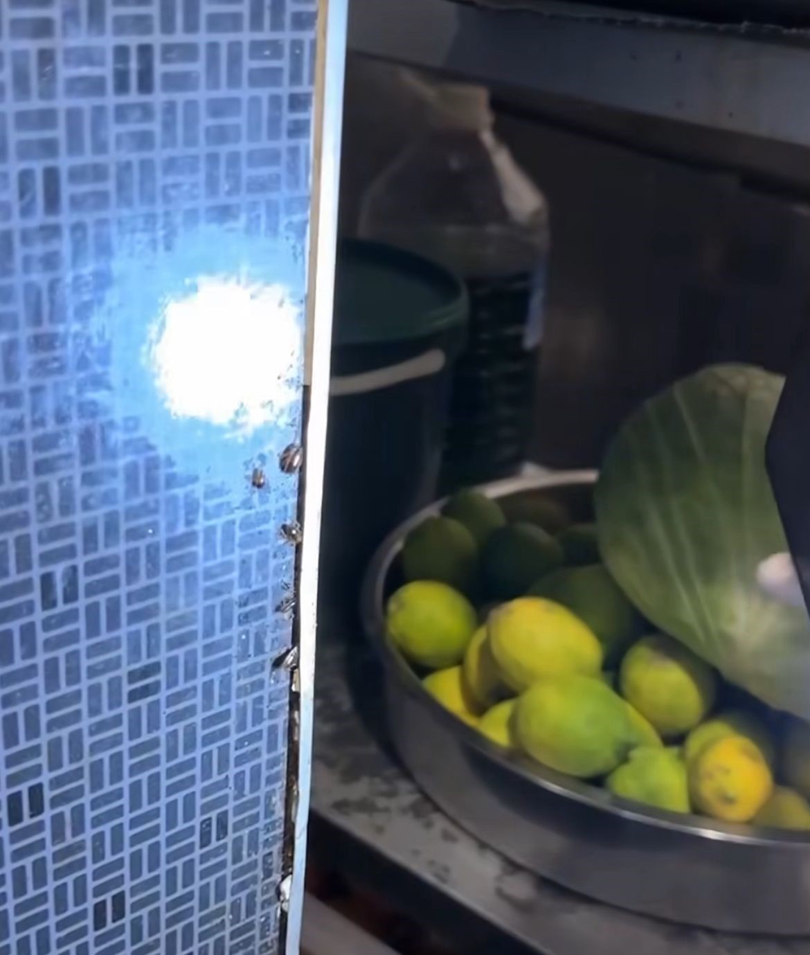 Avm Restoranlarında Mide Bulandıran Manzara Böcek Yuvaları Kamerada (7)