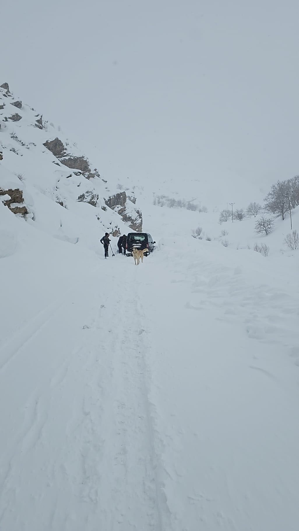 Aynı Araçta 4 Kişi Vardı, Facia Kıl Payı Atlatıldı (4)