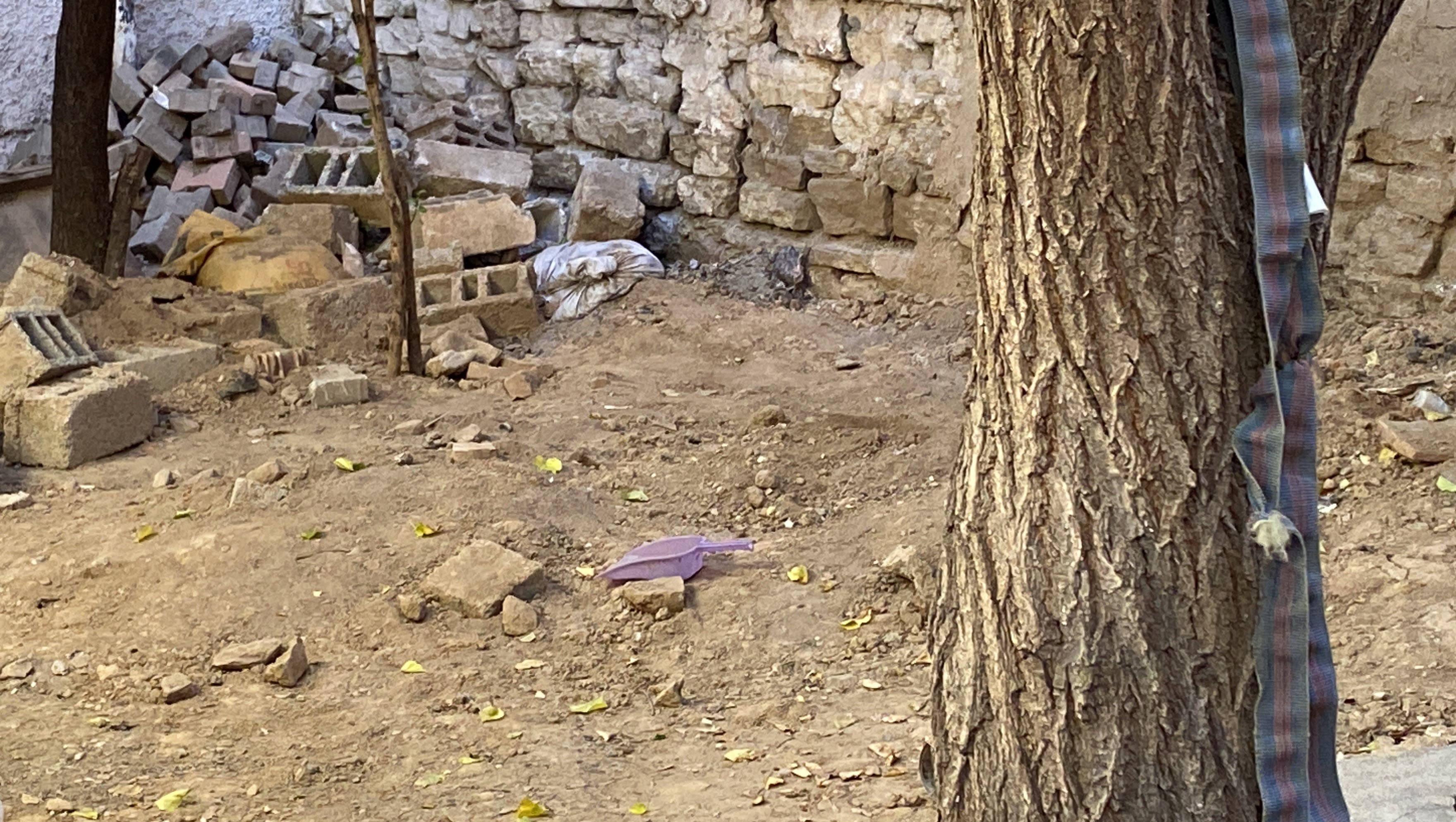 Bahcedeki Vahsete En Agir Ceza (4)