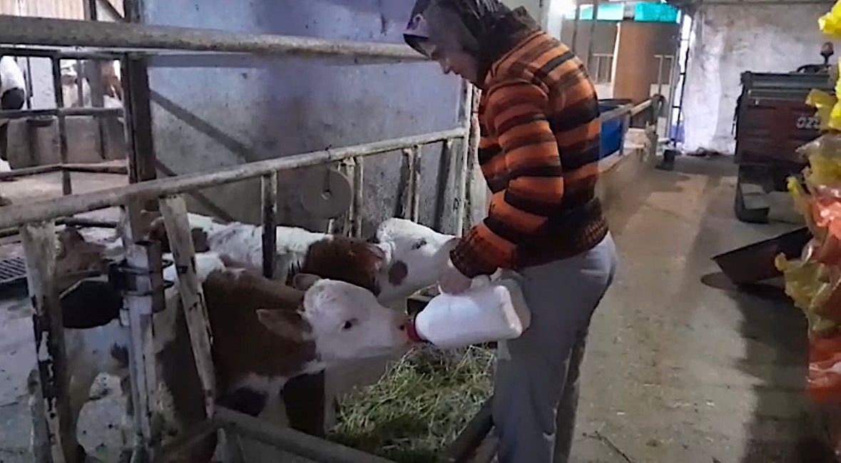 Besicinin Hayati 15 Gunde Tersine Dondu Once Kahroldu Sonra Sevincten Havalara Uctu (4)