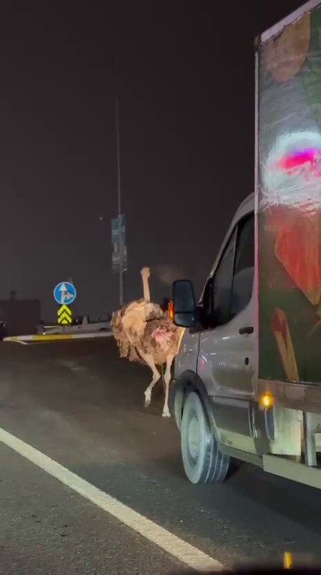 Bir Anda Yolun Ortasina Firladi Suruculere Ecel Terleri Dokturen O Anlar Kamerada (3)