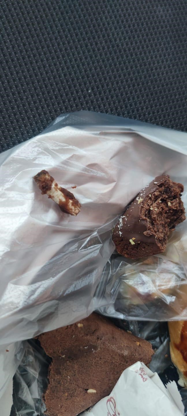 Bir Isirikla Hayatinin Sokunu Yasadi Kurabiyenin Icinden Bakin Ne Cikti (2)