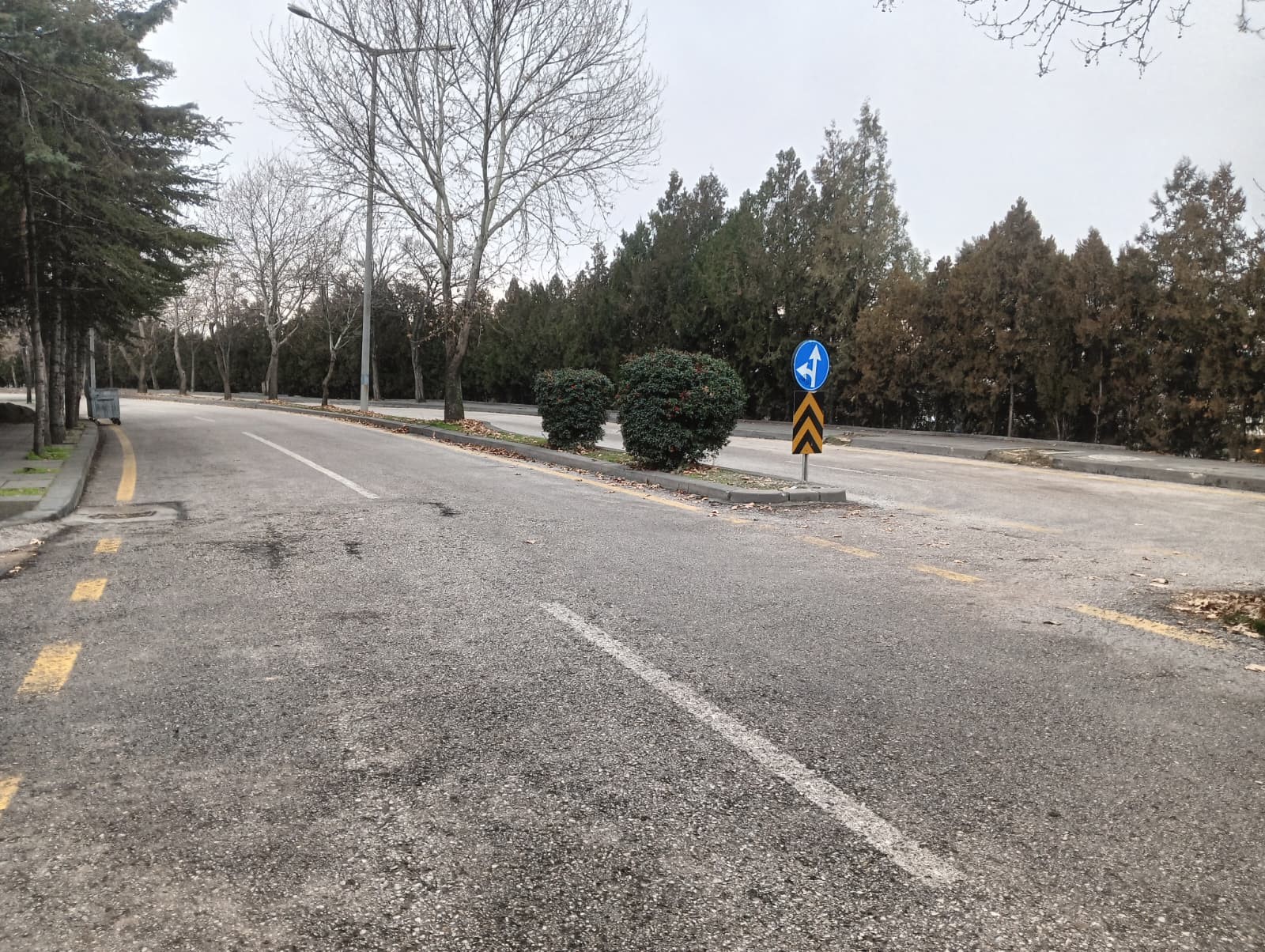 Borç Kavgasında Aracı Oldu! Cadde Ortasında Tüfekle Öldürüldü (4)