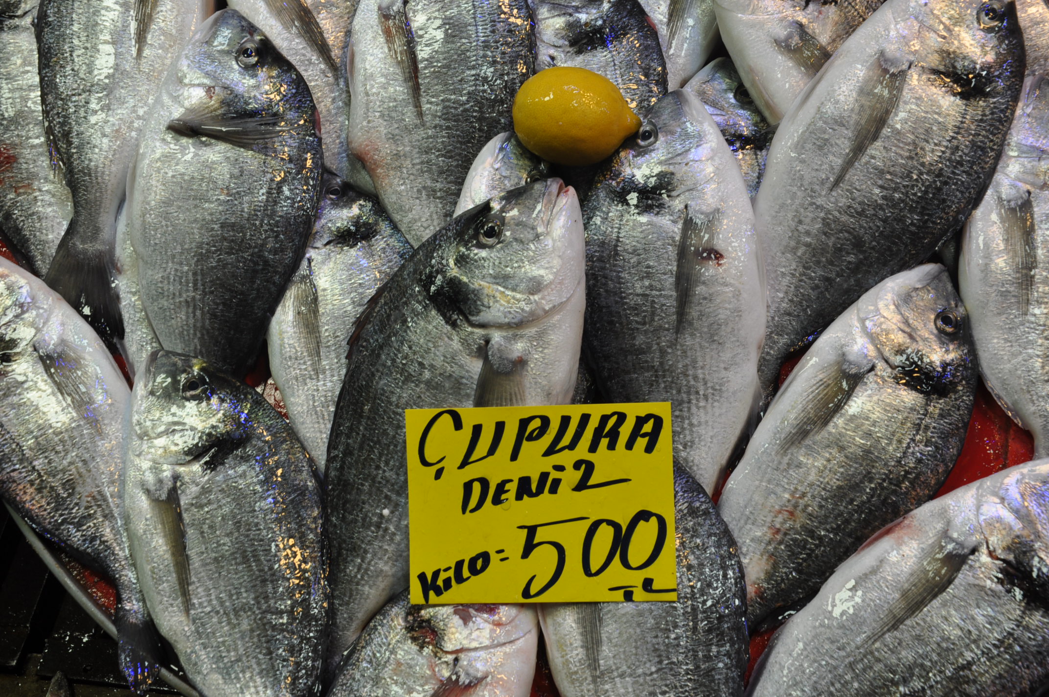 Çarşamba Pazarı Salihli (11)-2