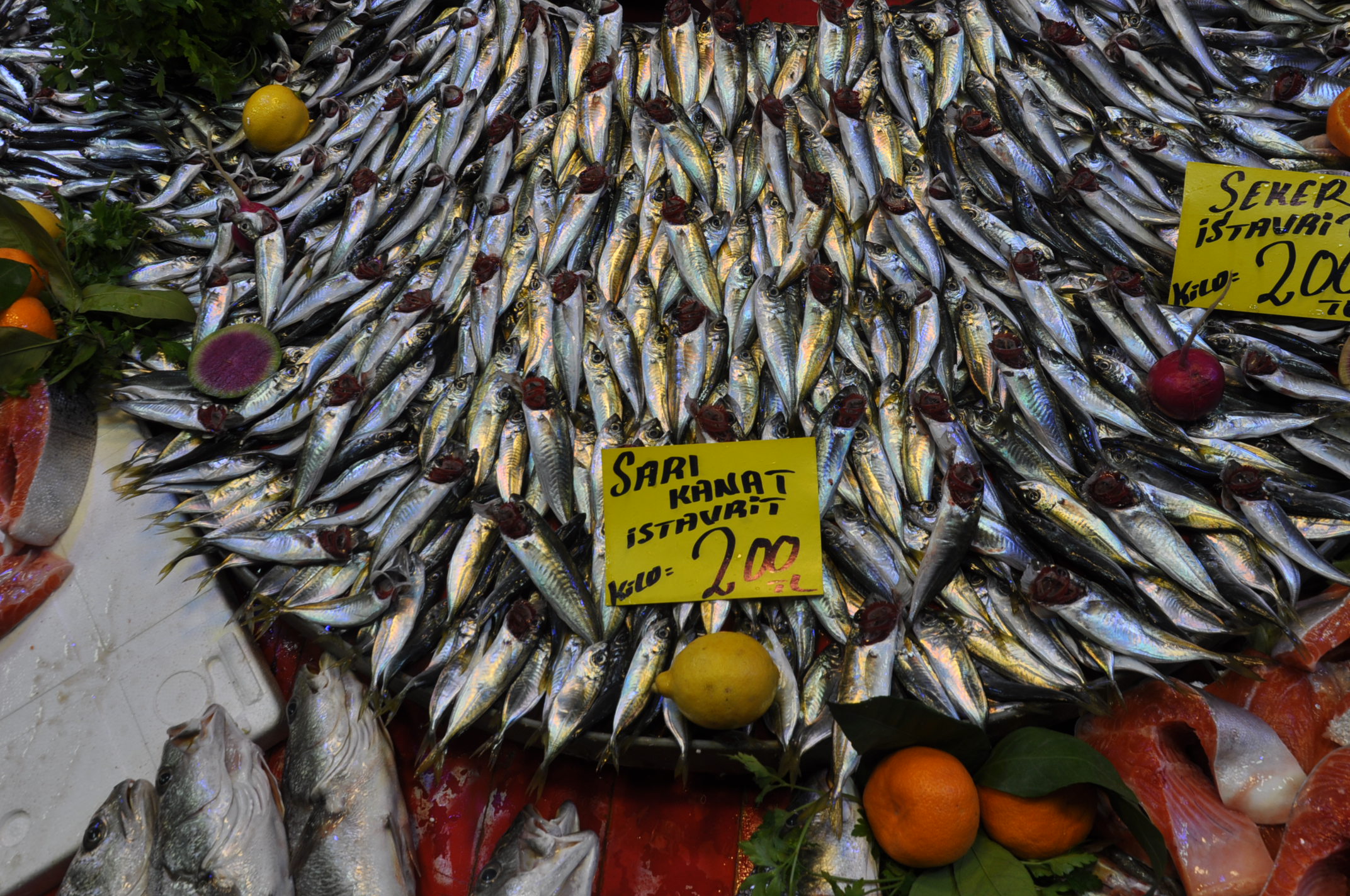 Çarşamba Pazarı Salihli (13)-2