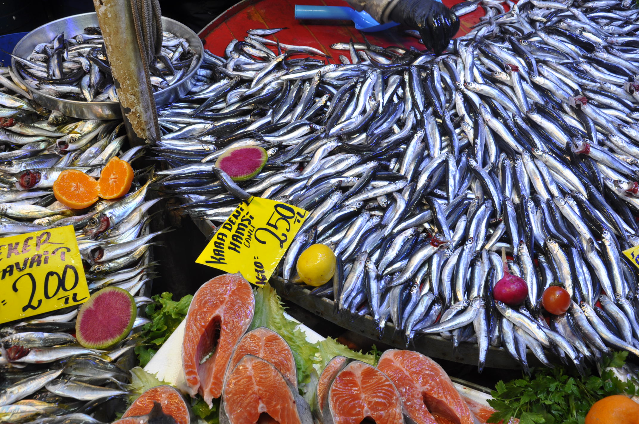 Çarşamba Pazarı Salihli (15)-2