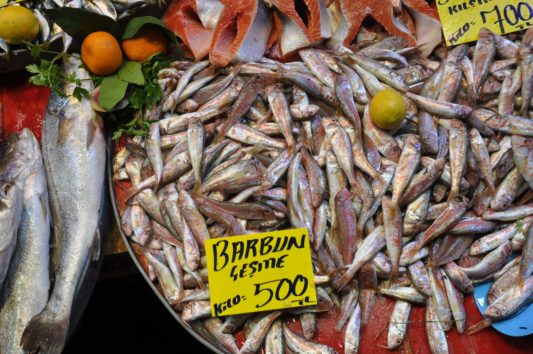 Çarşamba Pazarı Salihli (16)-2