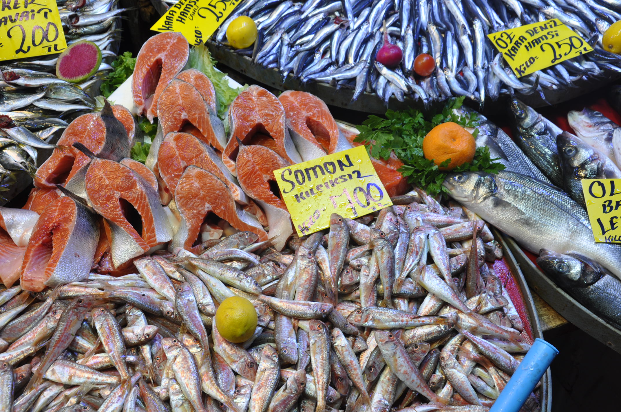 Çarşamba Pazarı Salihli (17)-2