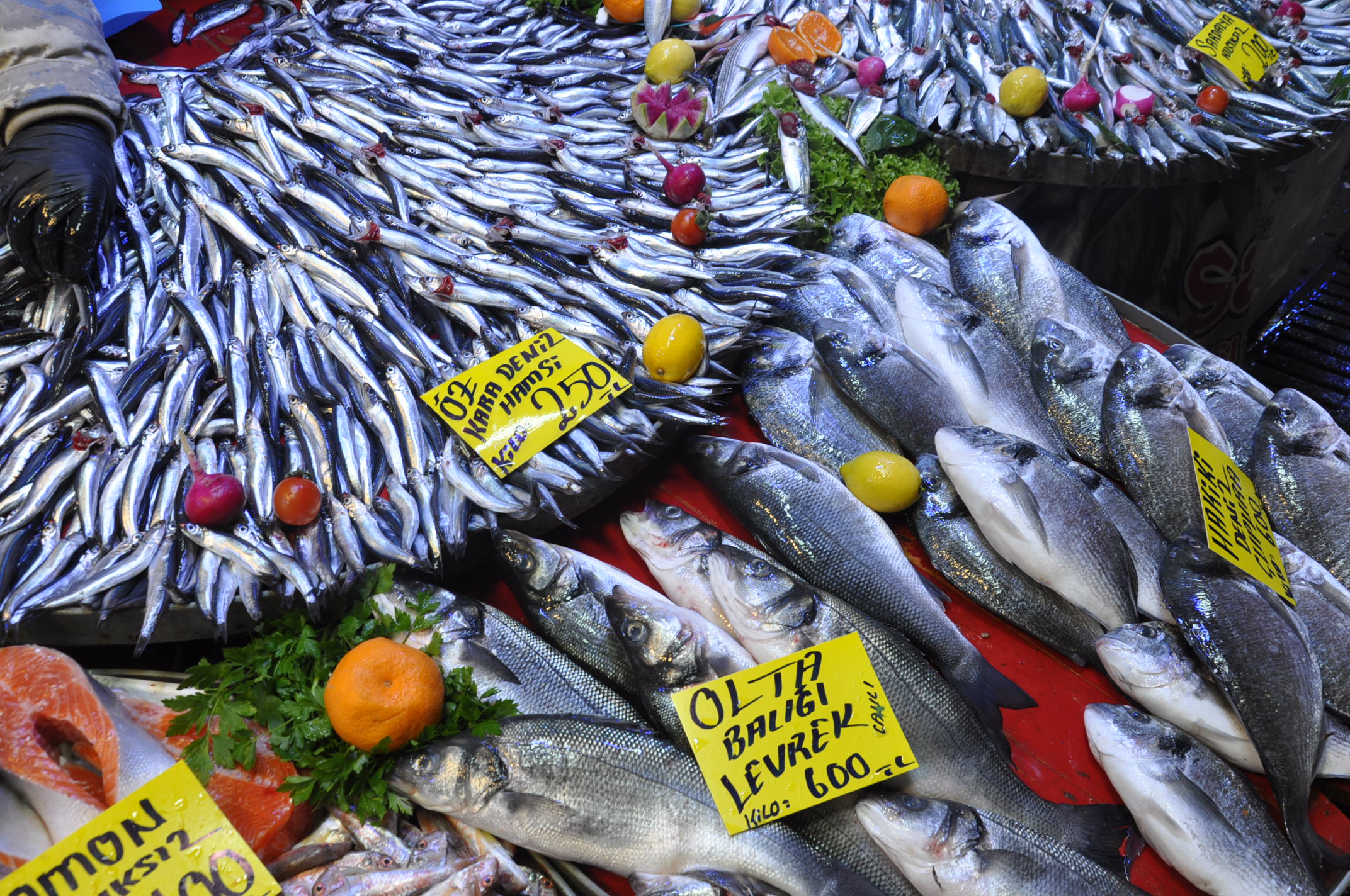 Çarşamba Pazarı Salihli (18)-2