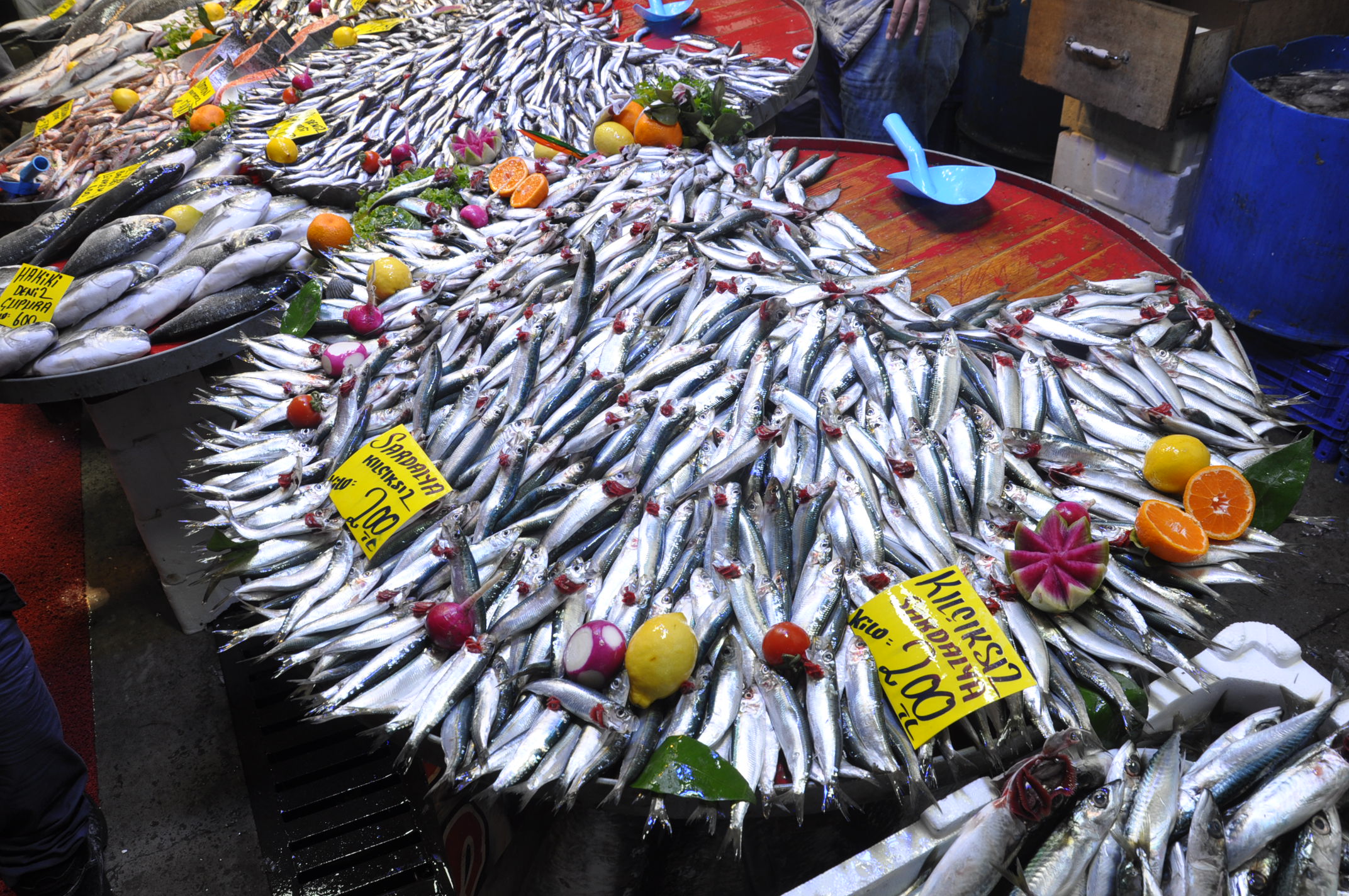 Çarşamba Pazarı Salihli (19)-2