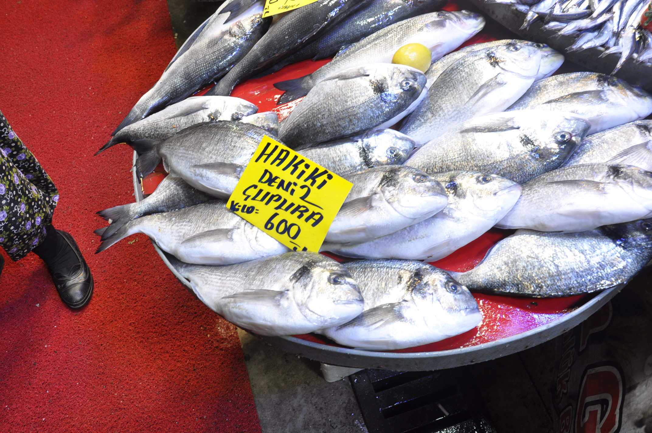 Çarşamba Pazarı Salihli (20)-2