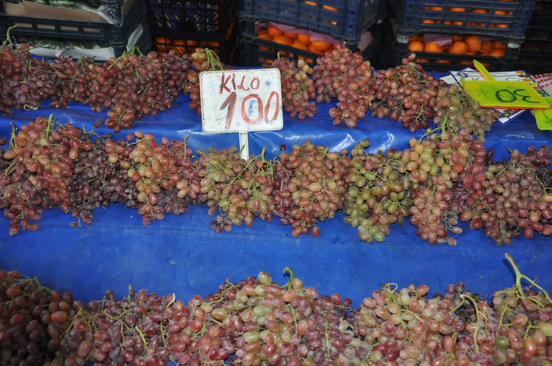 Çarşamba Pazarı Salihli (23)