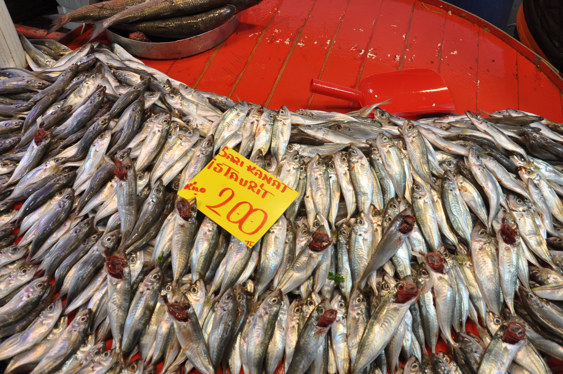 Çarşamba Pazarı Salihli (5)-2