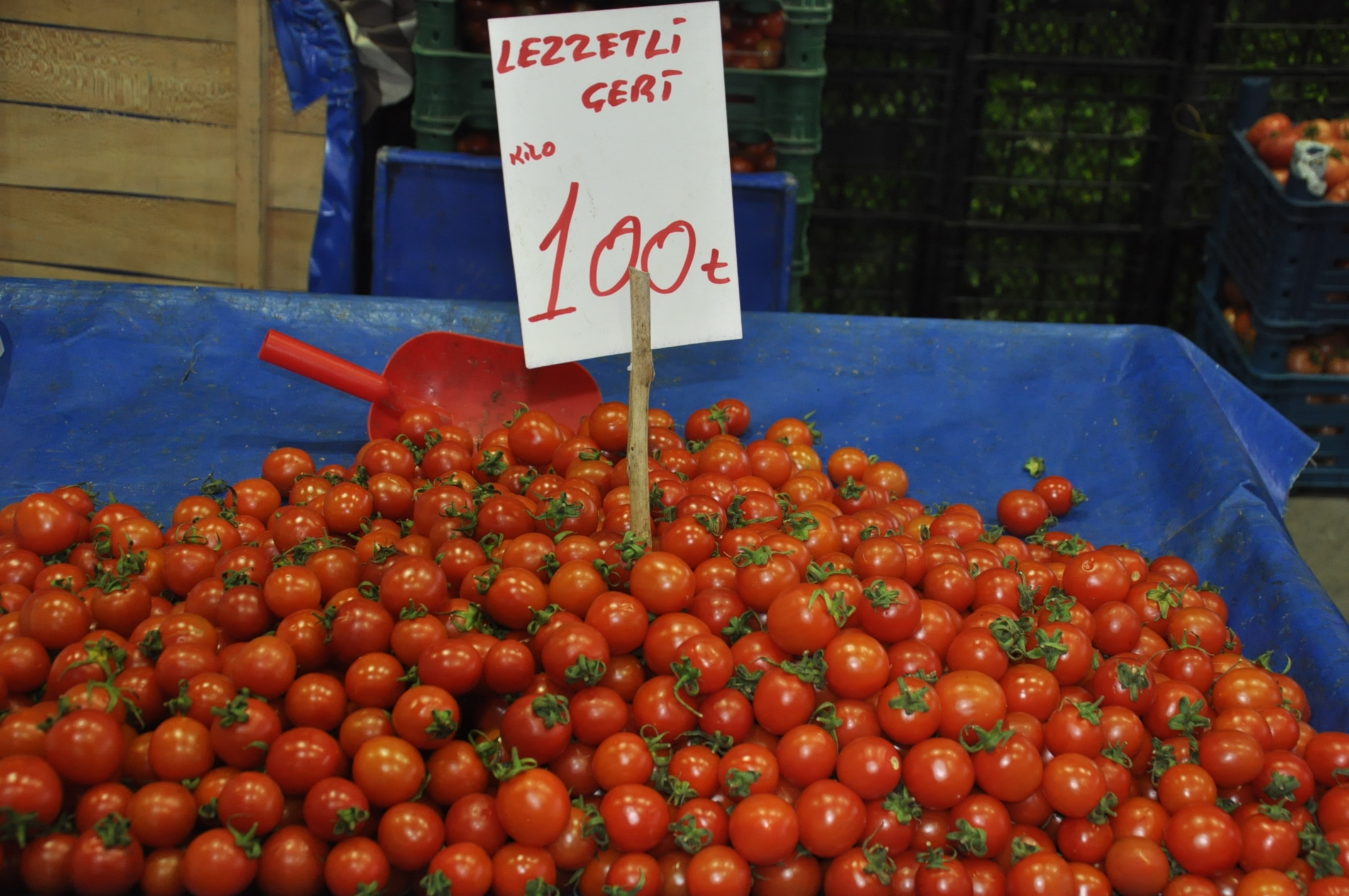 Çarşamba Pazarı Salihli (8)-1