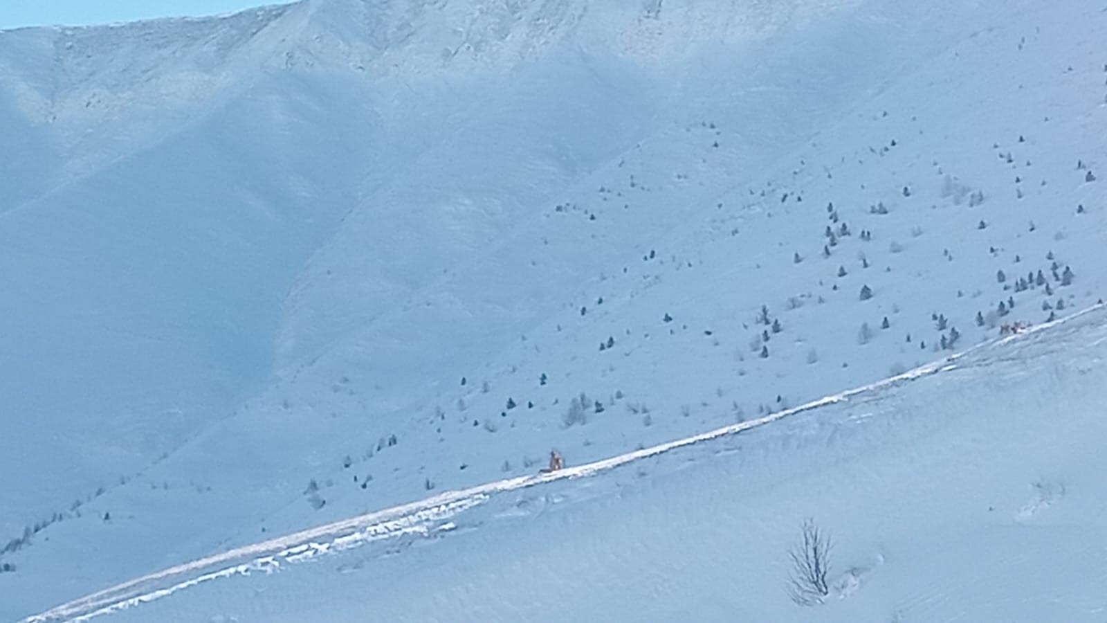 Çığ Altında Kalan 2 Çoban Ölü Bulundu! Kayıp Çoban Için Arama Çalışmaları Devam Ediyor (3)