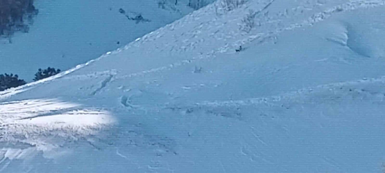 Çığ Altında Kalan 2 Çoban Ölü Bulundu! Kayıp Çoban Için Arama Çalışmaları Devam Ediyor (4)