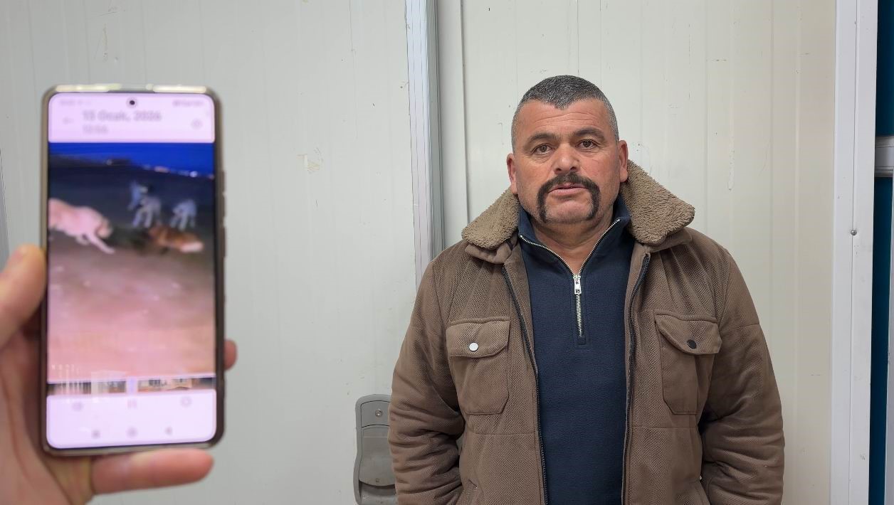 Ciplak Elle Yakaladi Herkes Kacacak Yer Ararken O Uzerine Atladi Surekli Zarar Veriyor (3)