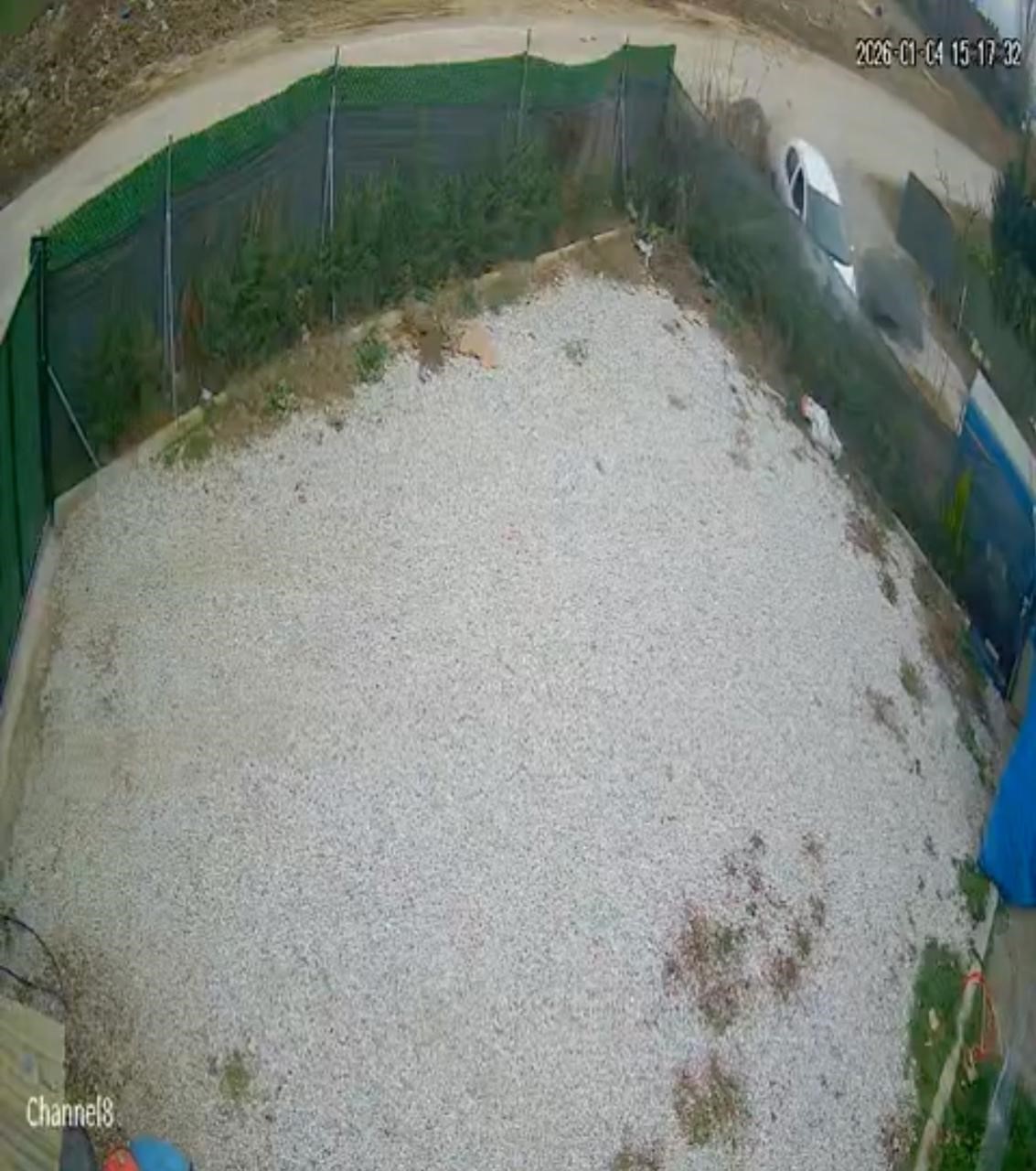 Çitleri Aşıp Bahçeye Girdi Güvenlik Kamerası Ölümden Dönüşü Kaydetti (5)