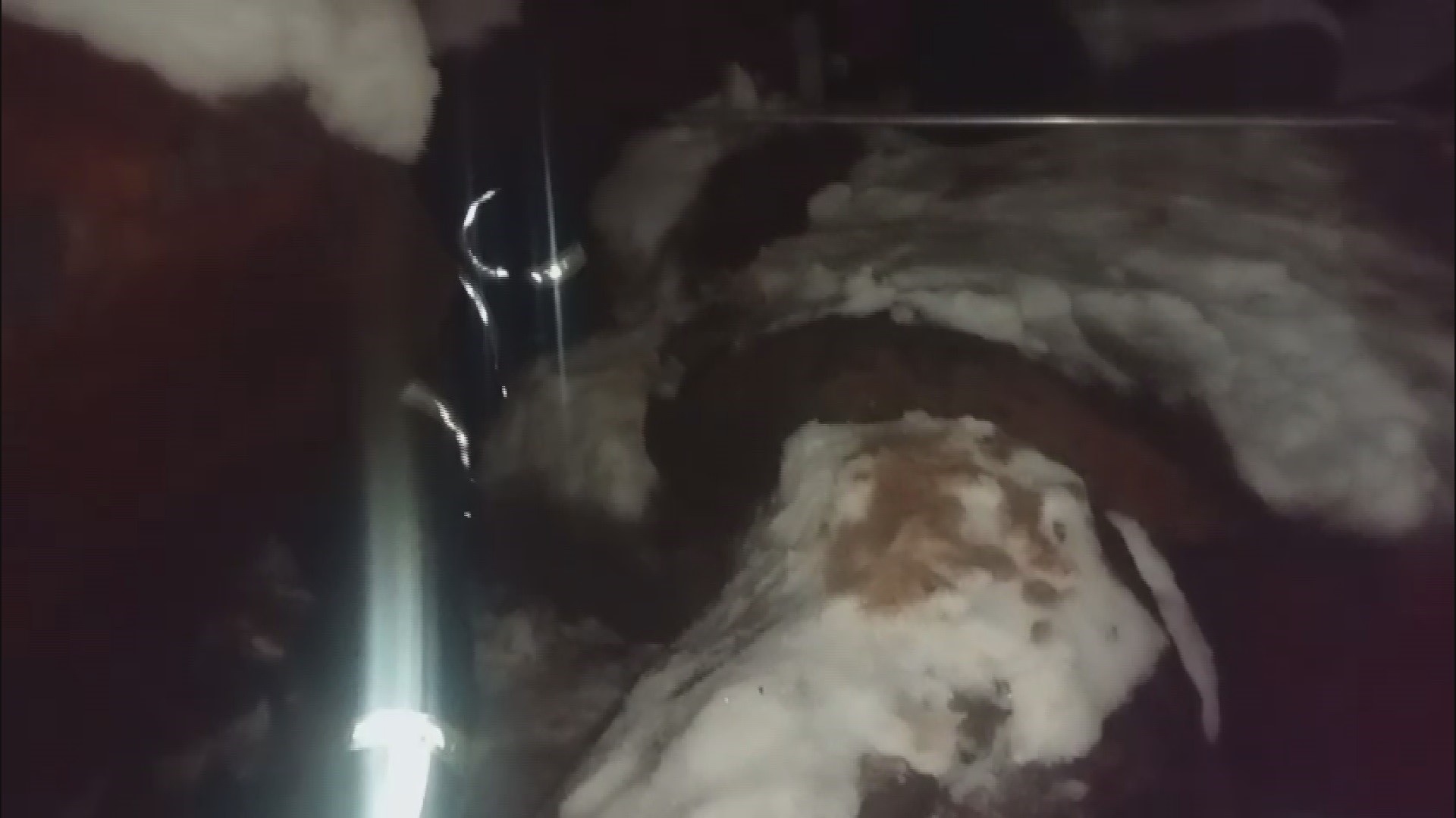 Dondurucu Soğukta Umut Operasyonu Kar Altında Mahsur Kalan Yavru Köpekler Kurtarıldı (4)