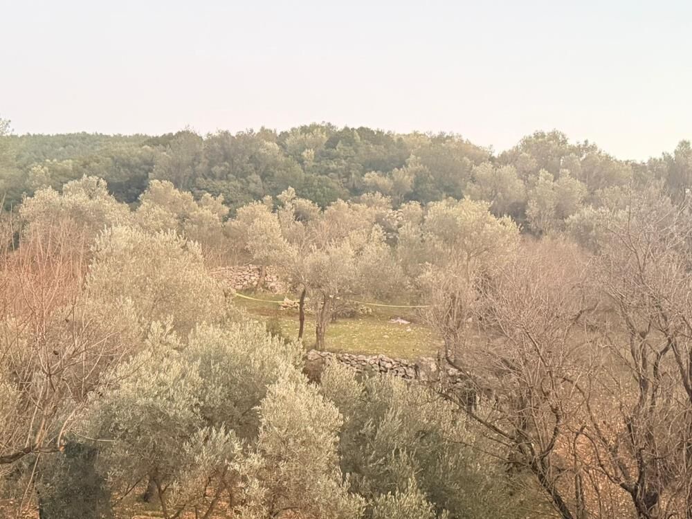 Gezmek Icin Gittigi Tarla Sonu Oldu Biranda Yere Yigildi Ve Bir Daha Kalkamadi (3)