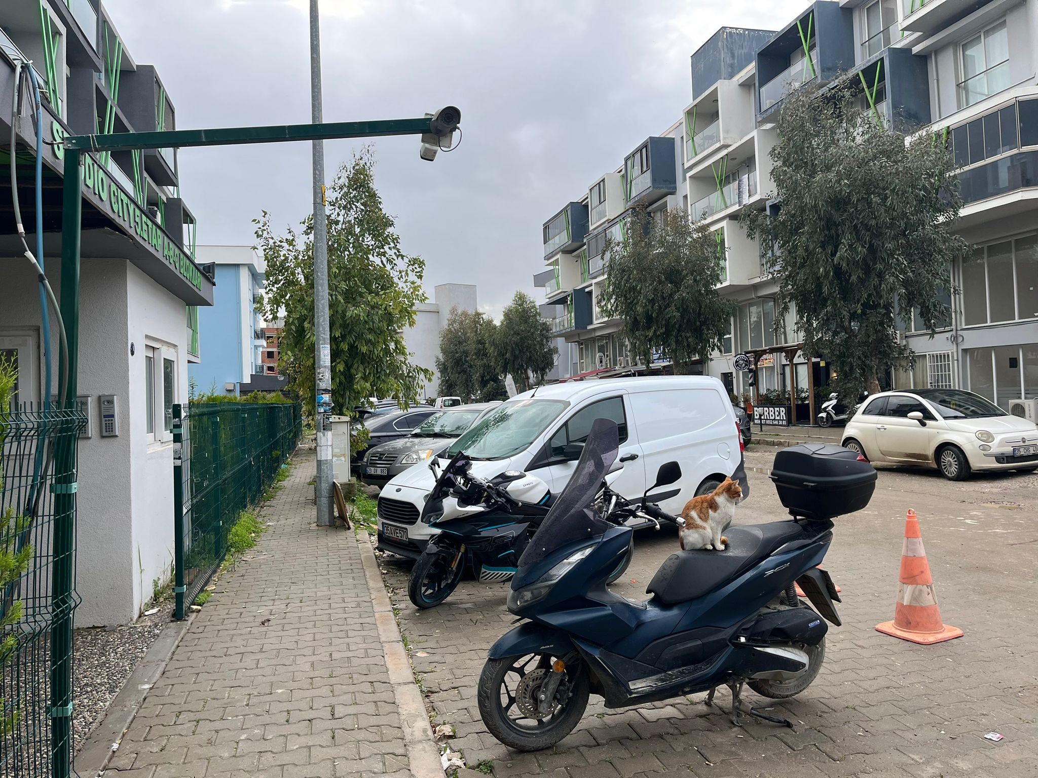 Gözde Akbaba Cinayetinde Tanık Konuştu “Silah Seslerini Duyduk, Yerde Kanlar Içindeydi” (3)