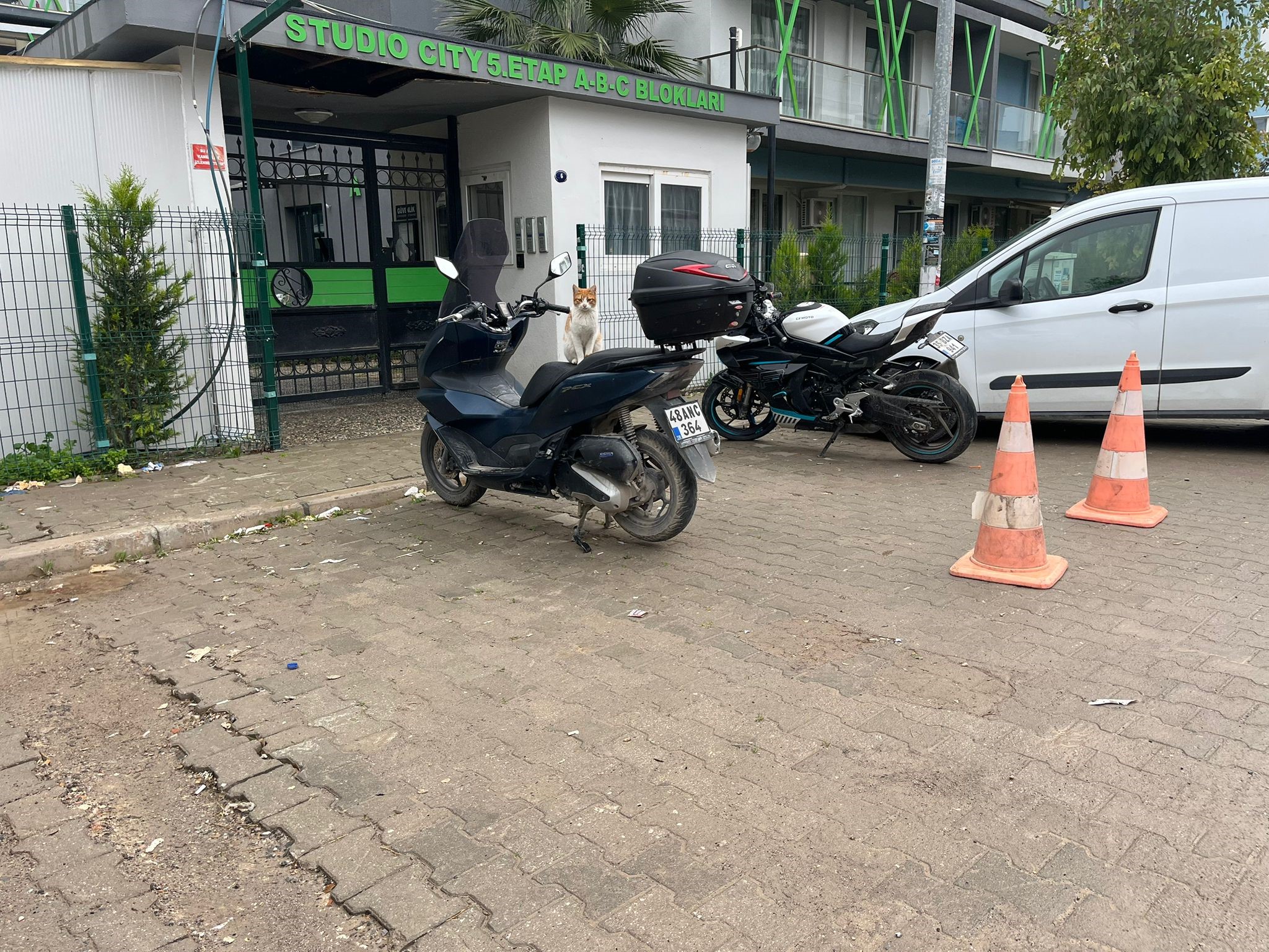 Gözde Akbaba Cinayetinde Tanık Konuştu “Silah Seslerini Duyduk, Yerde Kanlar Içindeydi” (4)