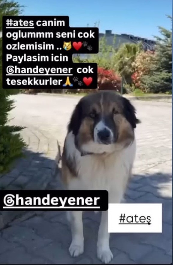 Hande Yenerin Atesi Icin Adalet Arayisi (3)
