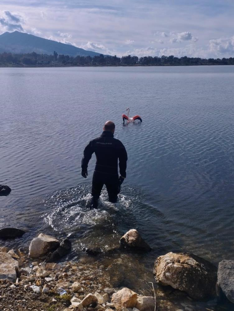 Ipe Dolanan Filamingo (3)