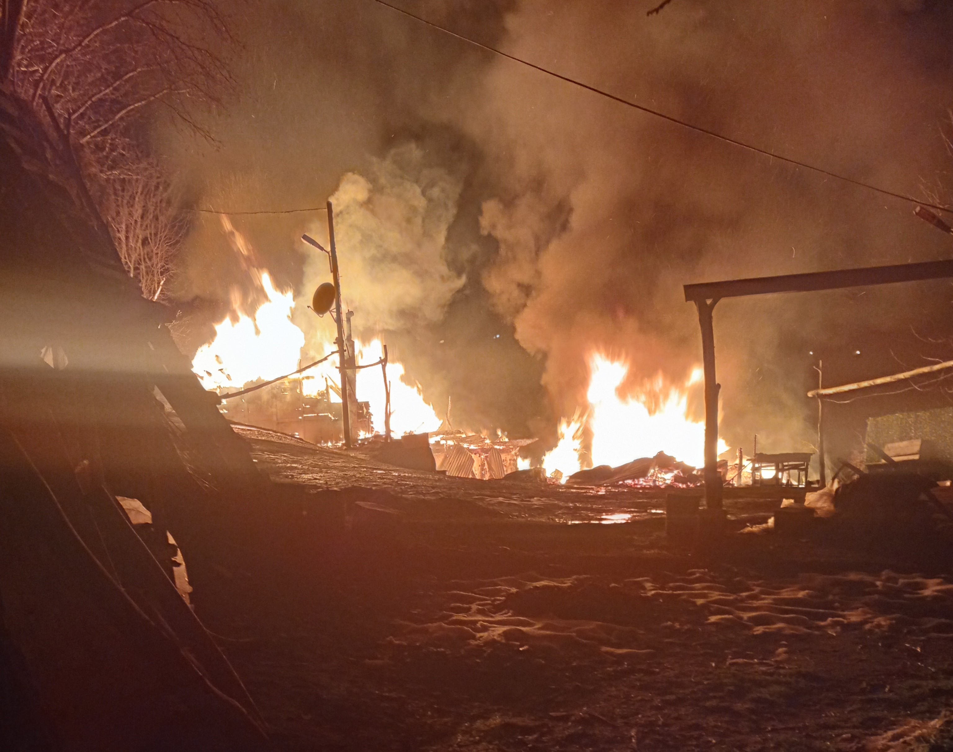 İtfaiye Eve Geldi, Acı Manzara Bahçede Ortaya Çıktı! Kiraz Ağacında Asılı Halde Bulundu (5)