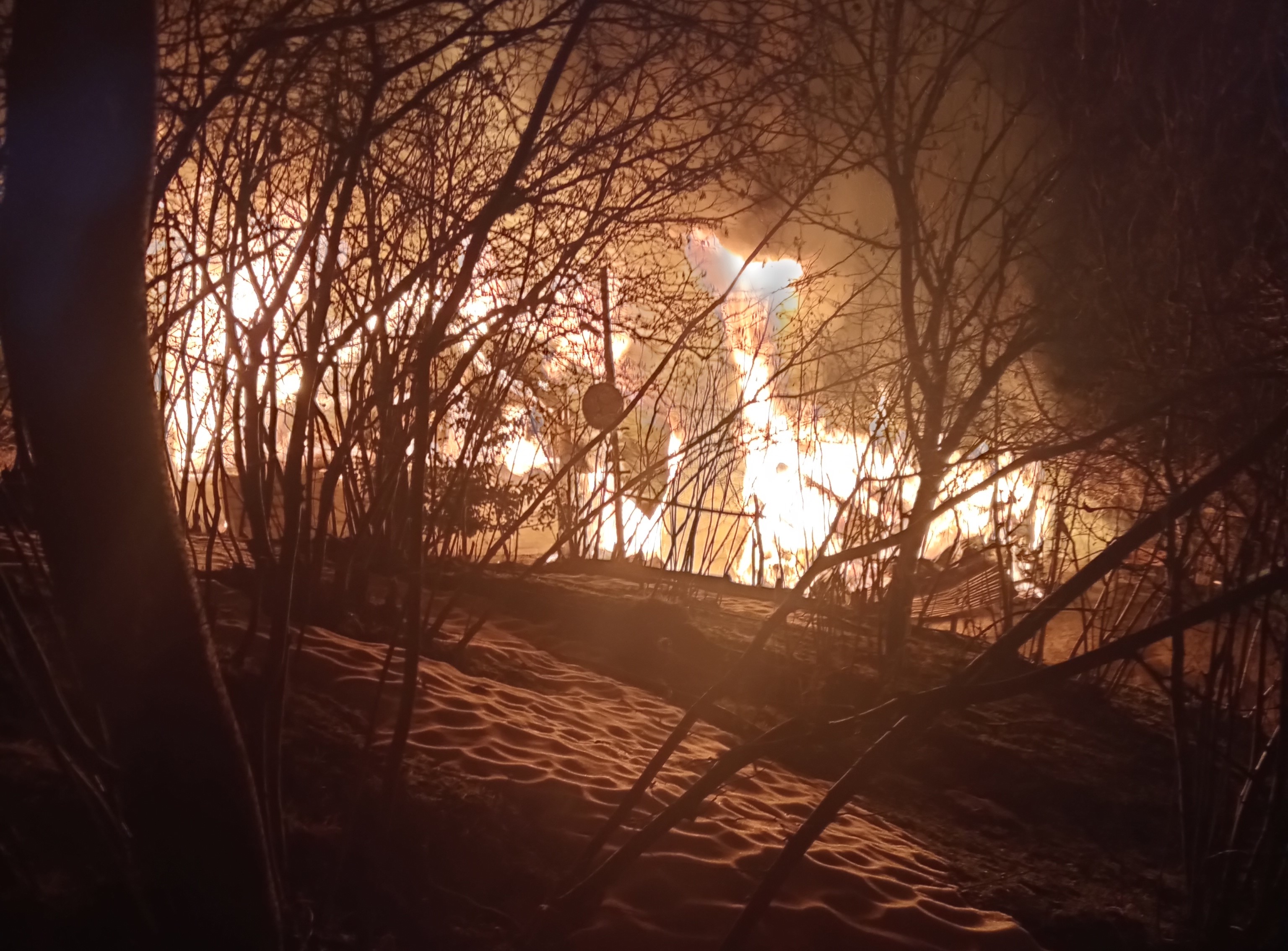 İtfaiye Eve Geldi, Acı Manzara Bahçede Ortaya Çıktı! Kiraz Ağacında Asılı Halde Bulundu (6)