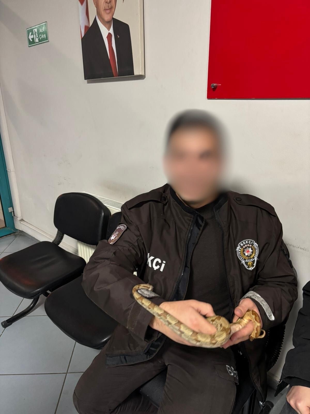 Kafede Yilanla Dolasmanin Bedeli Agir Oldu (1)-2