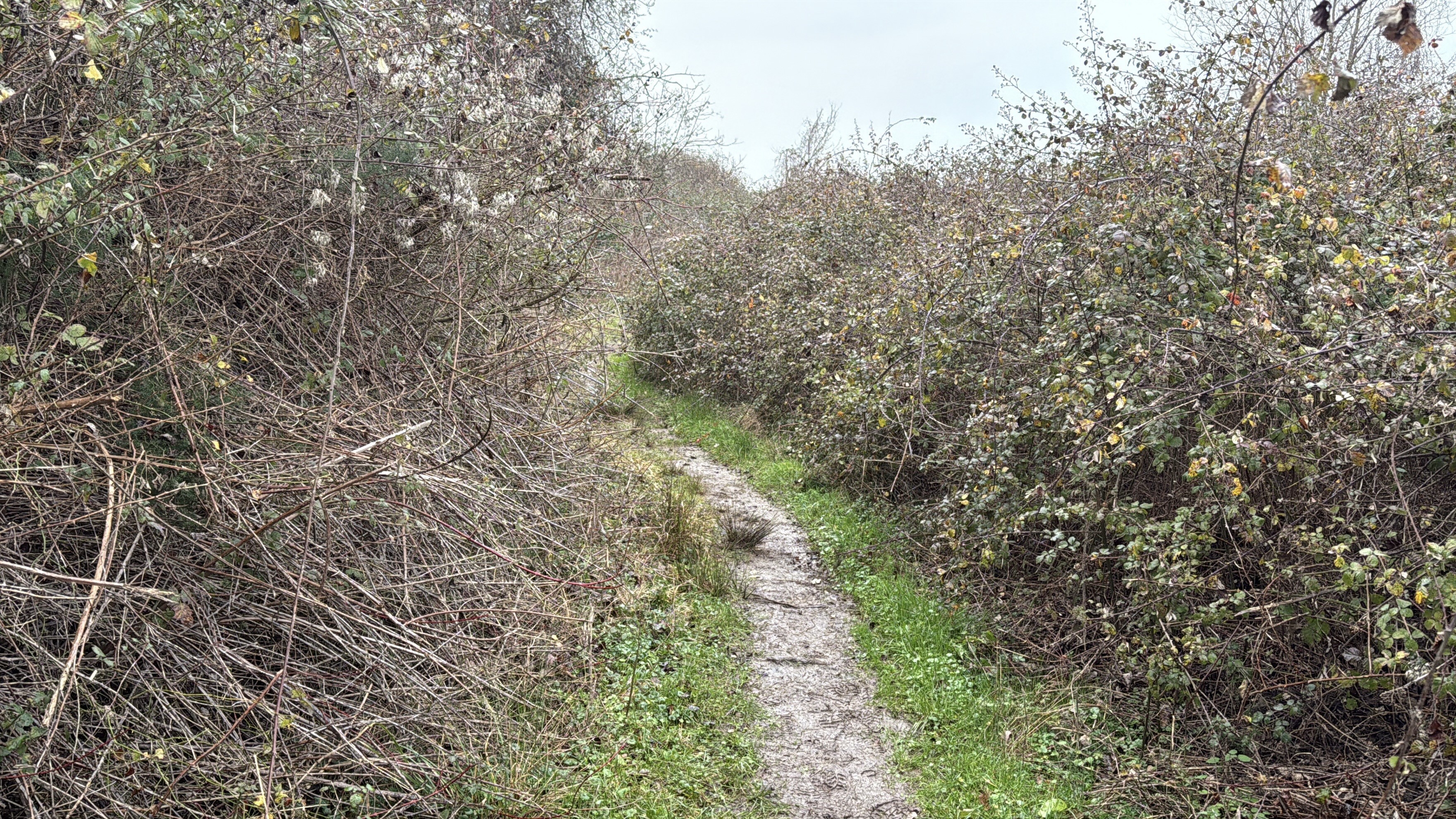 Kayıp Alarmı Acı Bitti 30 Yaşındaki Adamın Ölümünde Siyanür Şüphesi (4)