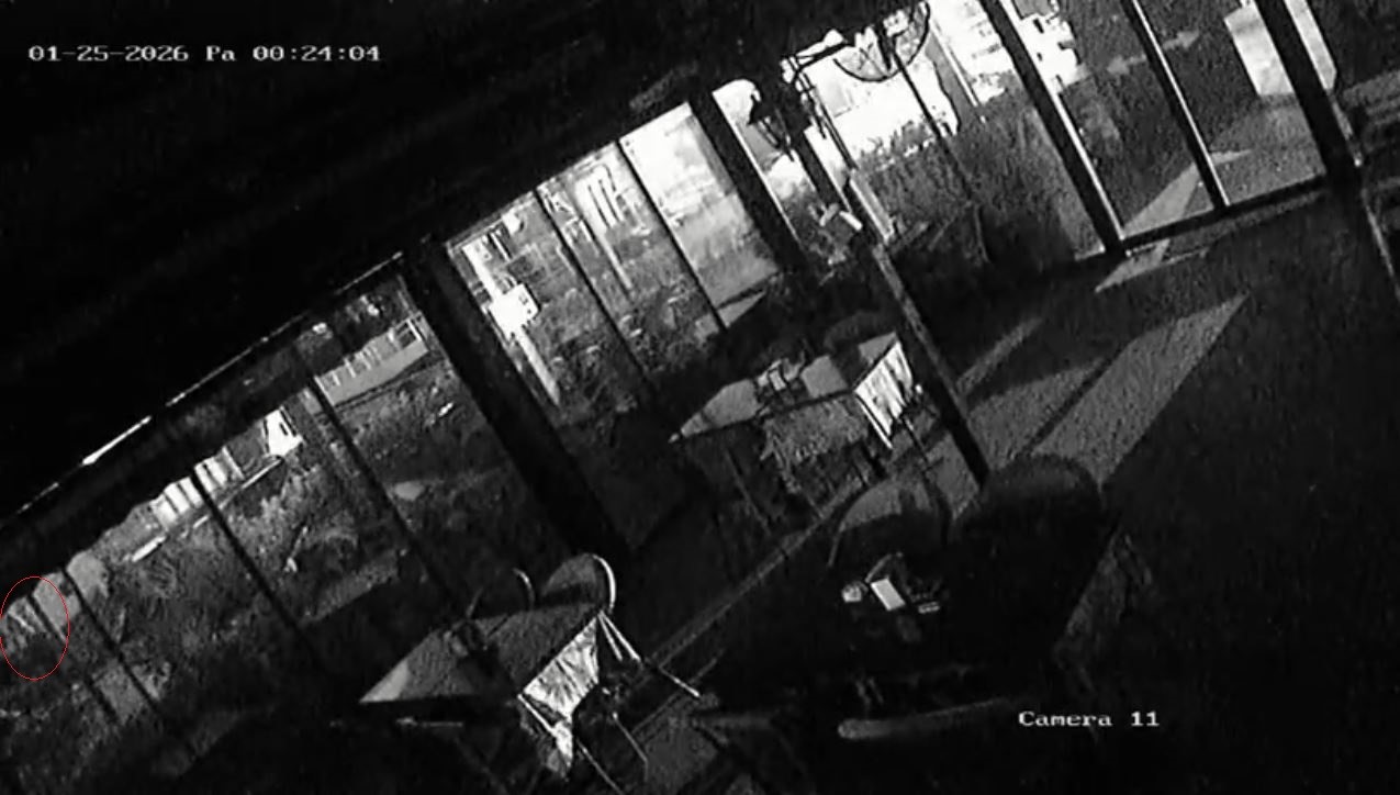 Kayıp Olarak Aranıyordu… Acı Görüntüler Ortaya Çıktı, Genç Üniversiteli Denize Atlamış (3)