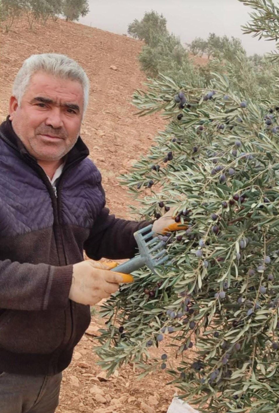 Komşuları Kanlar Içinde Buldu! Asansör Boşluğu 52 Yaşındaki Adamı Hayattan Kopardı (2)