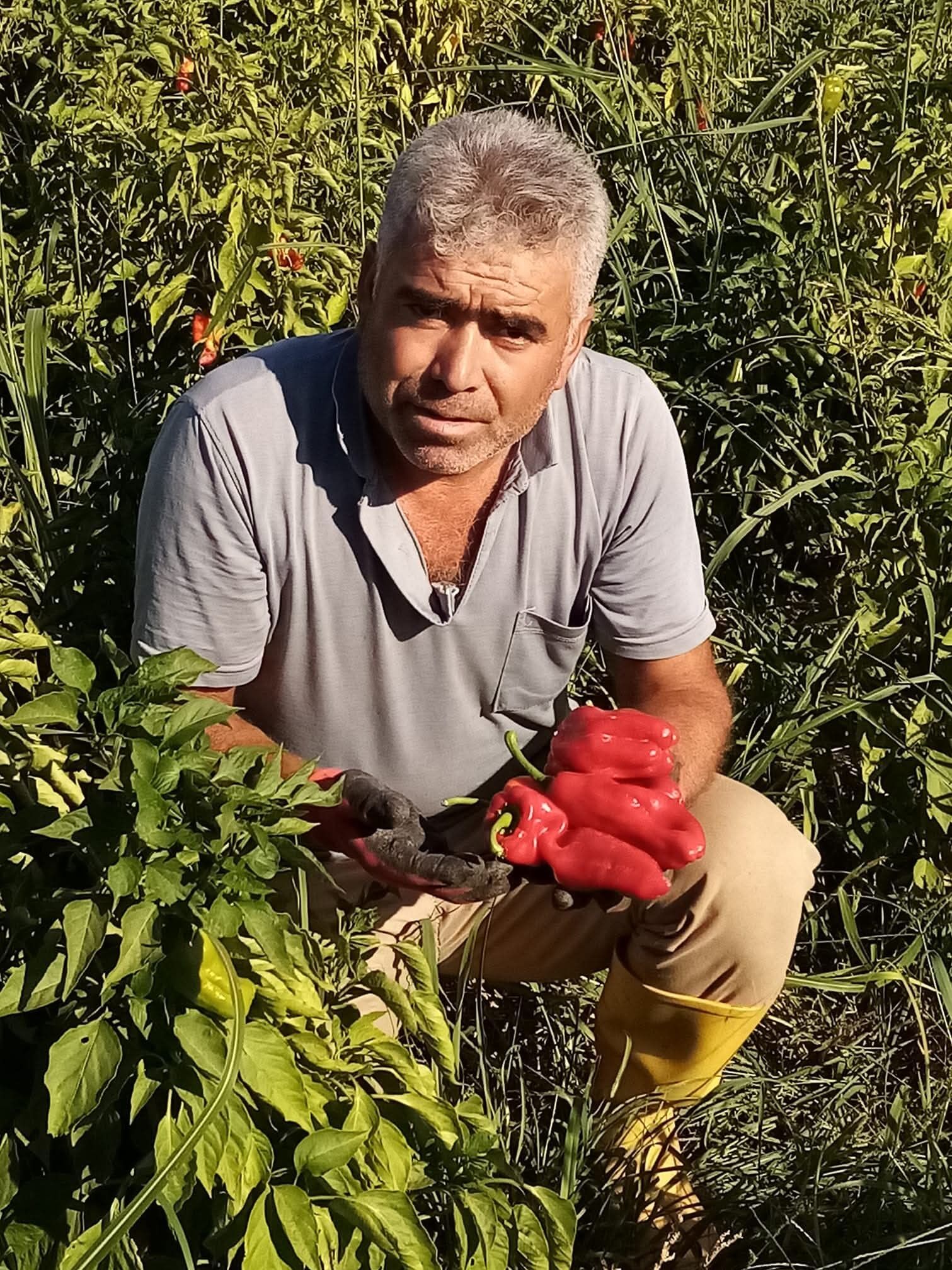 Komşuları Kanlar Içinde Buldu! Asansör Boşluğu 52 Yaşındaki Adamı Hayattan Kopardı (4)