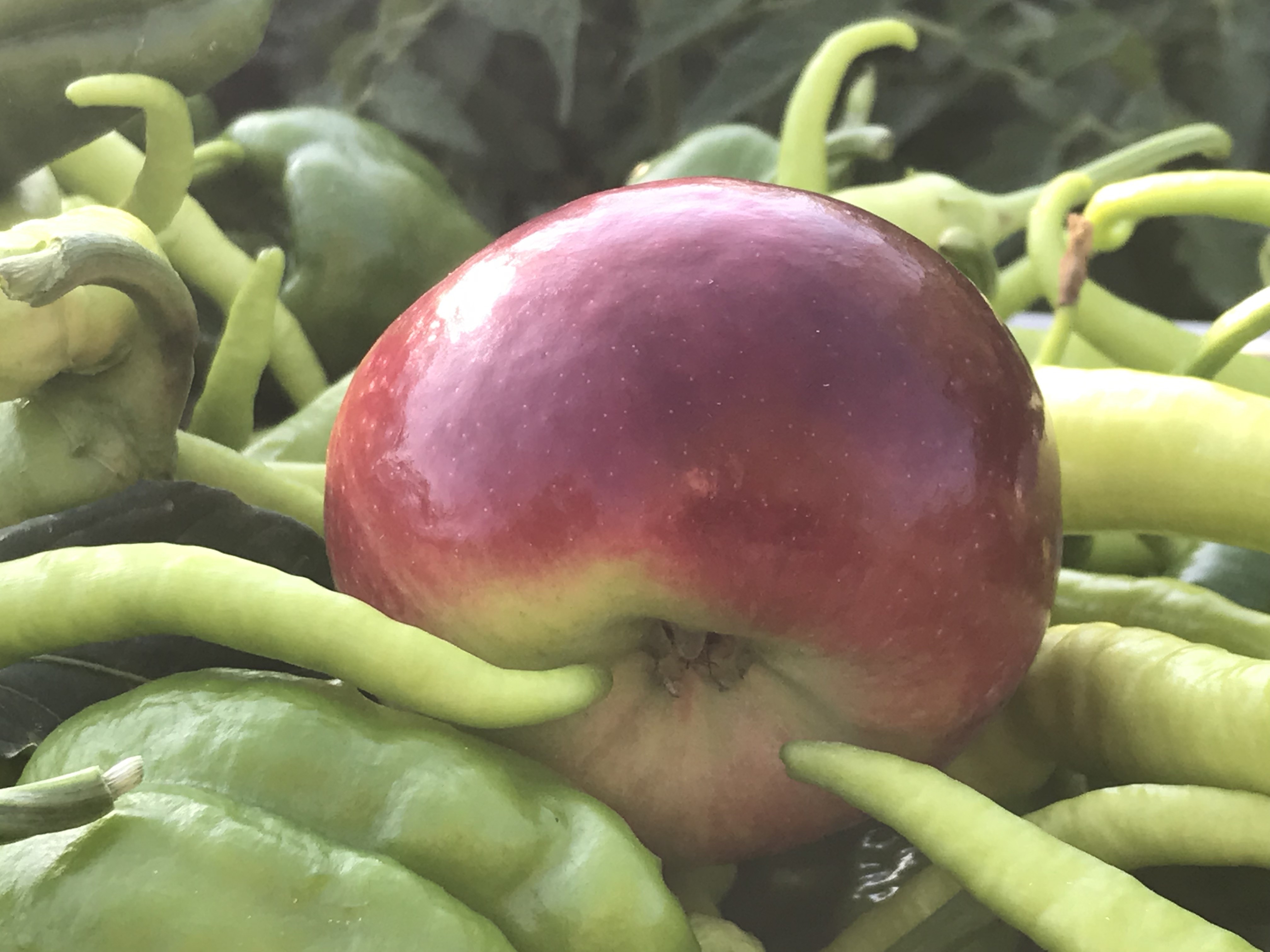 Limonu Portakali Unutun Iste Bagisikligi Celik Gibi Yapan O Sebzeler (2)