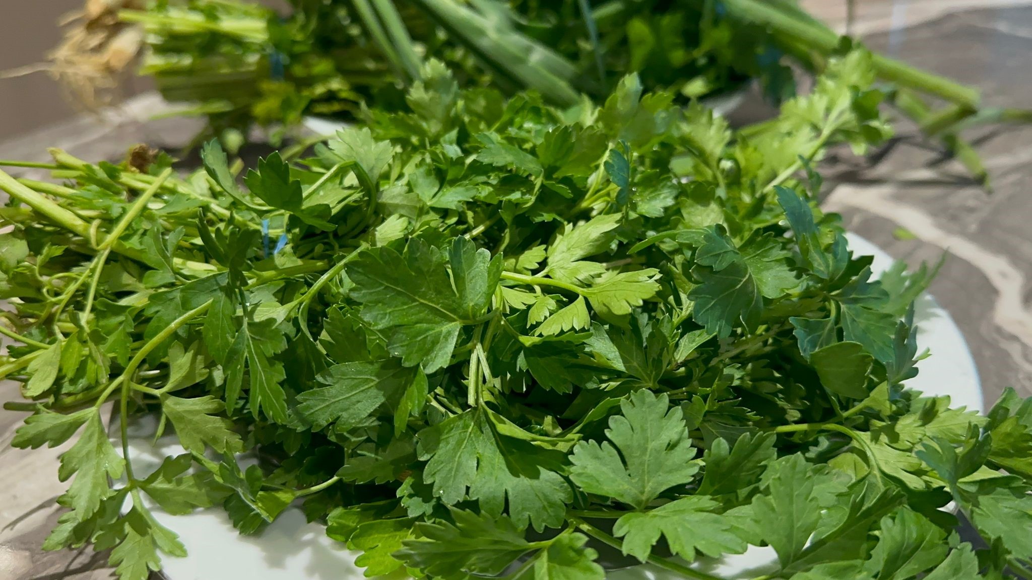 Limonu Portakali Unutun Iste Bagisikligi Celik Gibi Yapan O Sebzeler (6)