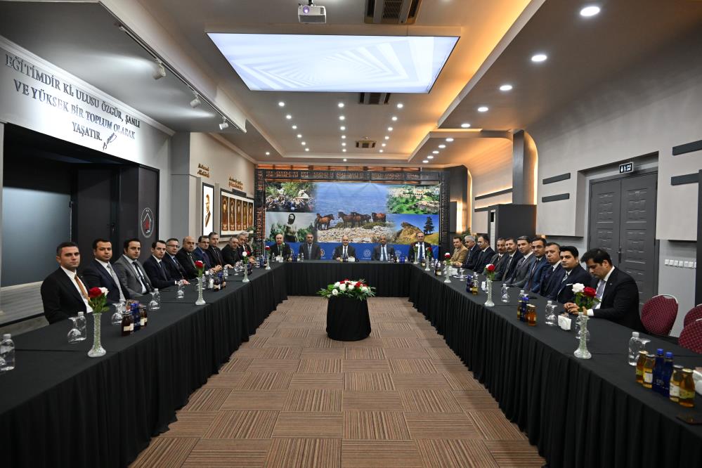 Manis Yatırımlar (2)