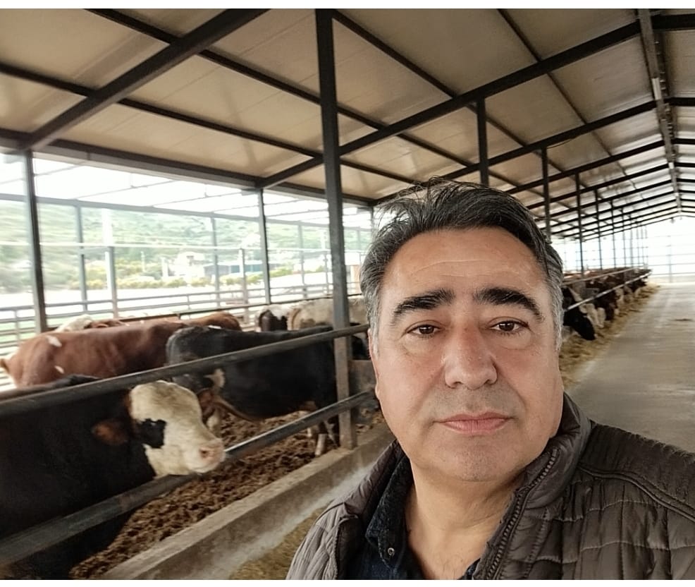 Mani̇sa Besi̇li̇k Hayvanlar (2)