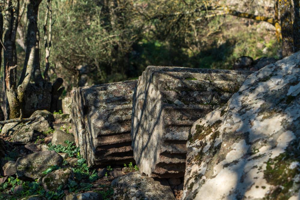 Manisada Apollonun Kehanet Tapinagi Zamana Meydan Okuyor (7)